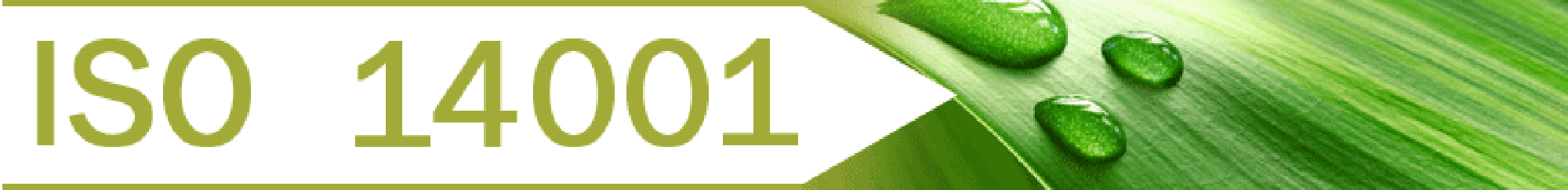 ISO 14001 banner1